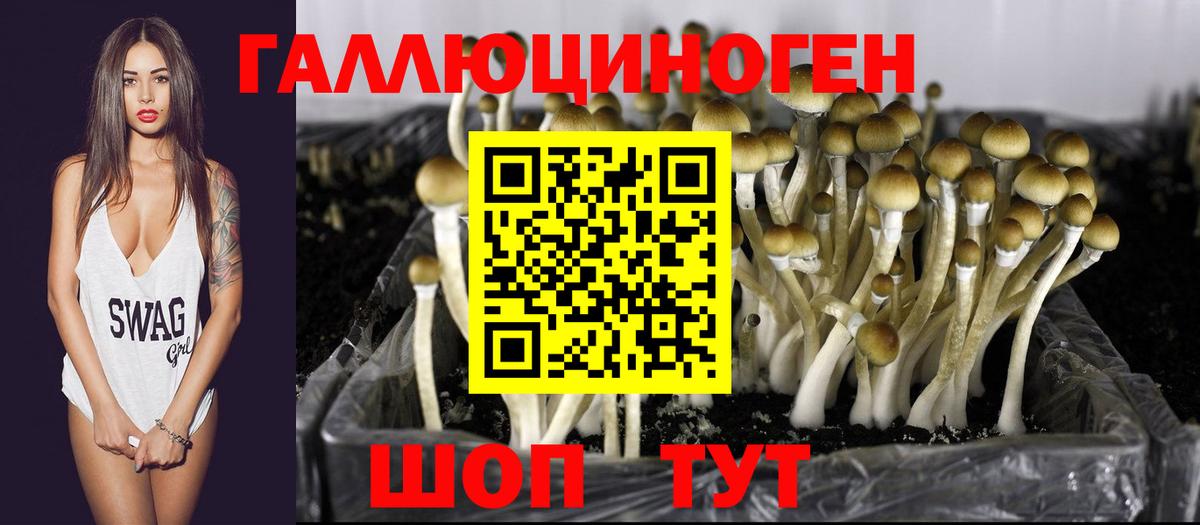 закладки  Вход с VPN  Зеленогорск  Галлюциногенные грибы мухоморы 