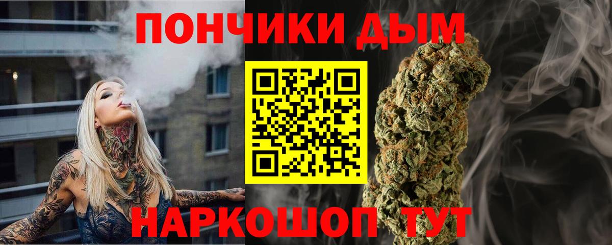 Шишки марихуана сатива Зеленогорск